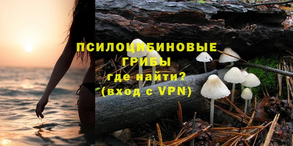 прущие крисы Алзамай