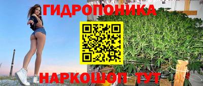 хмурый Малоярославец