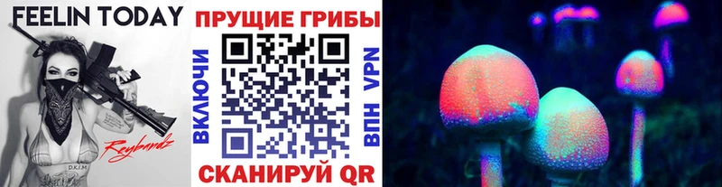 Псилоцибиновые грибы мицелий  купить наркотик  Балахна 