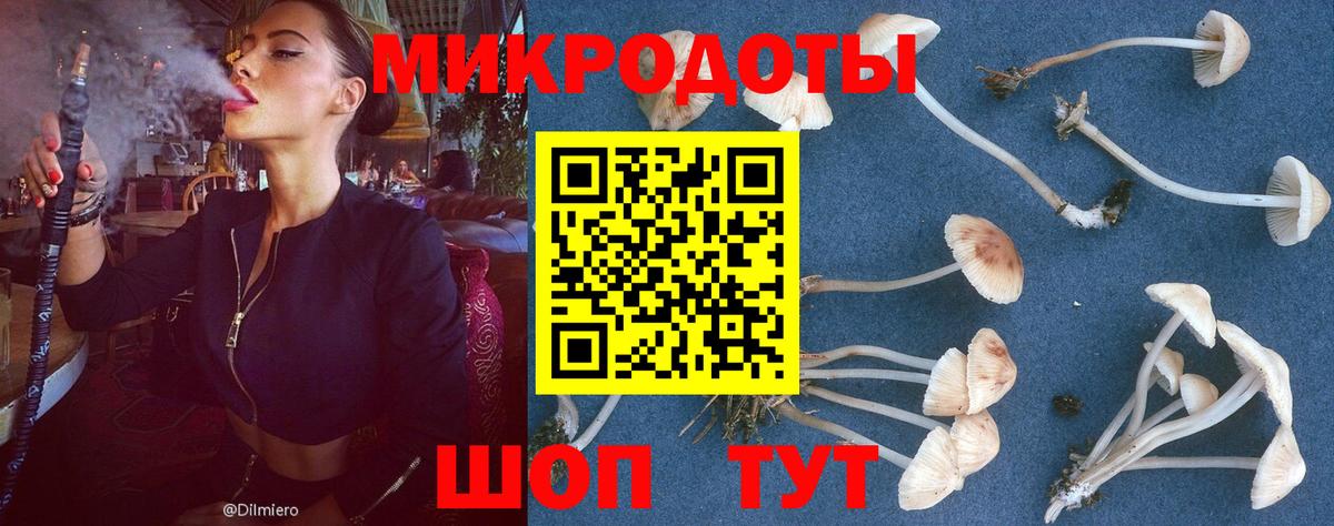 Балахна  купить   Вход с VPN  Псилоцибиновые грибы мухоморы 