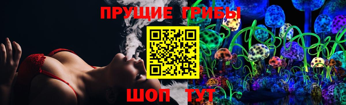 Галлюциногенные грибы Psilocybine cubensis Балахна